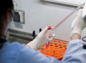 Desde esta quinta-feira (2), foram registrados 1.146 pacientes infectados