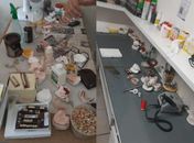 CRO-AL flagra dois laboratórios de prótese atuando ilegalmente no Benedito Bentes