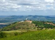 Fogo destrói parte da vegetação da serra do Goiti em Palmeira dos Índios
