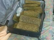 Após denúncia, polícia encontra 15kg de maconha