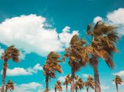 Ventos com mais de 50 km/h podem atingir AL entre quinta-feira e sábado; confira