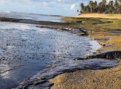 Manchas de óleo no litoral alagoano