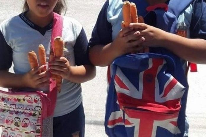 Prefeitura é criticada por dar cenouras como presente de Páscoa