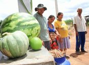 São José da Laje: recurso para projeto da agricultura familiar está garantido diz Marx Beltrão