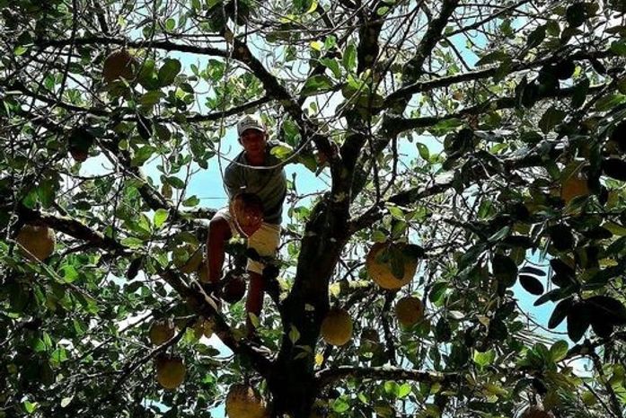 Colo de mãe faz muita falta, ou se for a Bonito/PE e não conhecer Gabriel, perdeu o melhor da viagem!