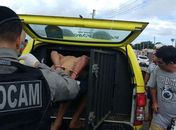 Dupla é presa após trocar tiros com policiais da Força Tarefa em Arapiraca