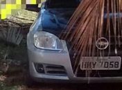 Celta prata de capu preto roubado.