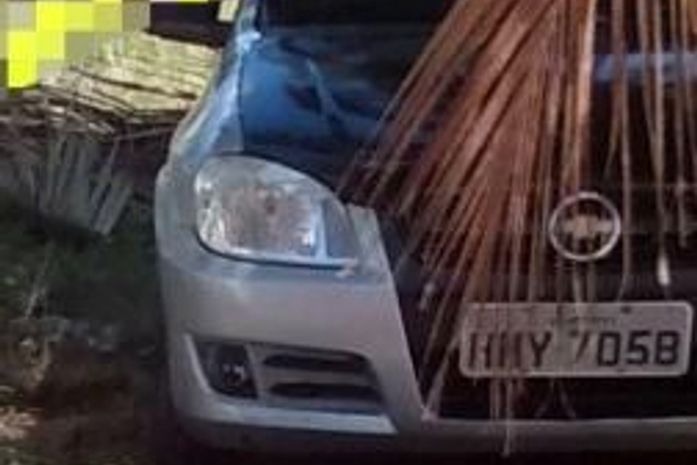 Celta prata de capu preto roubado.