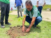 Meio Ambiente de Branquinha amplia projeto de arborização com plantio de novas mudas