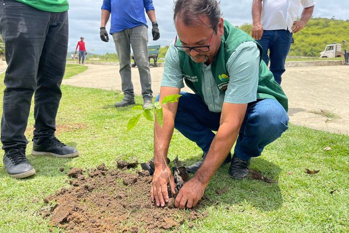 Meio Ambiente de Branquinha amplia projeto de arborização com plantio de novas mudas