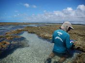 Chefe da APA Costa dos Corais em Alagoas é exonerado após multar secretário de Bolsonaro