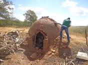  Carvoarias são autuadas por crime ambiental no Sertão de Alagoas