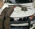 Operações ambientais resultam em apreensão de aves silvestres, armas e munições na Zona da Mata e Agreste de Alagoas