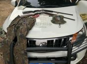 Operações ambientais resultam em apreensão de aves silvestres, armas e munições na Zona da Mata e Agreste de Alagoas