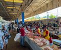 Mercados públicos e feiras livres de Maceió terão horário especial no feriado de Corpus Christi