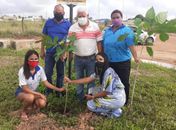 Semana do Meio Ambiente é iniciada com plantio de mudas em São Miguel dos Campos