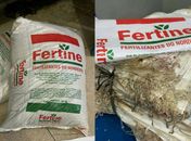 Grupo criminoso operava esquema de desvio de fertilizantes no Porto de Maceió 