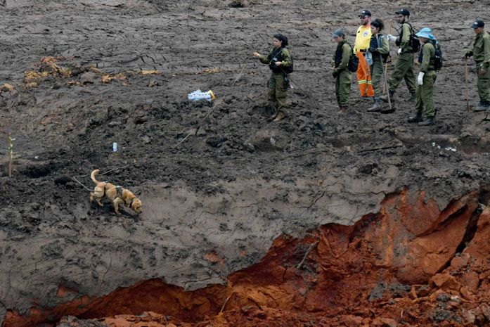 Tragédia Brumadinho | Minas Gerais