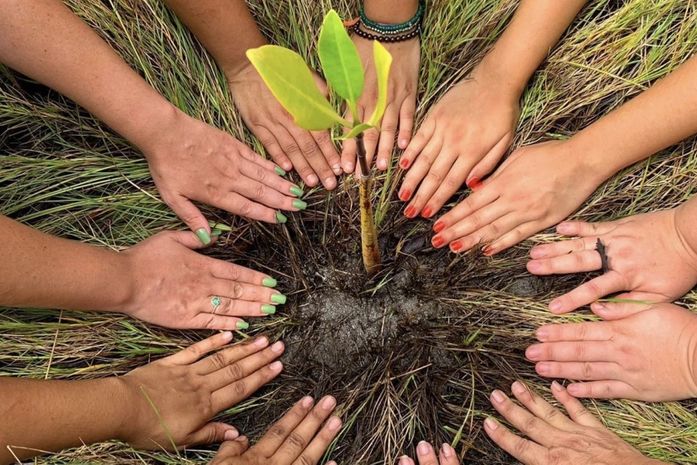 Com arborização, Prefeitura faz de Maceió uma cidade mais sustentável