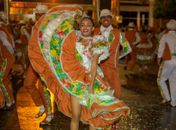 As propostas têm como base o mapa de Regiões de Planejamento de Alagoas: Agreste, Alto Sertão, Baixo São Francisco, Médio Sertão, Norte, Planalto da Borborema, Serrana dos Quilombos e Tabuleiros do Sul.