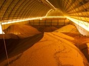 Em AL, estimativa para safra de cereais, leguminosas e oleaginosas sofre redução de 0,6% em maio