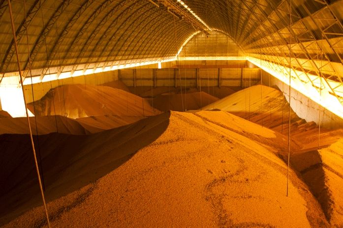 Em AL, estimativa para safra de cereais, leguminosas e oleaginosas sofre redução de 0,6% em maio
