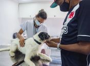 Política de castração de cães e gatos de Maceió é premiada em evento internacional
