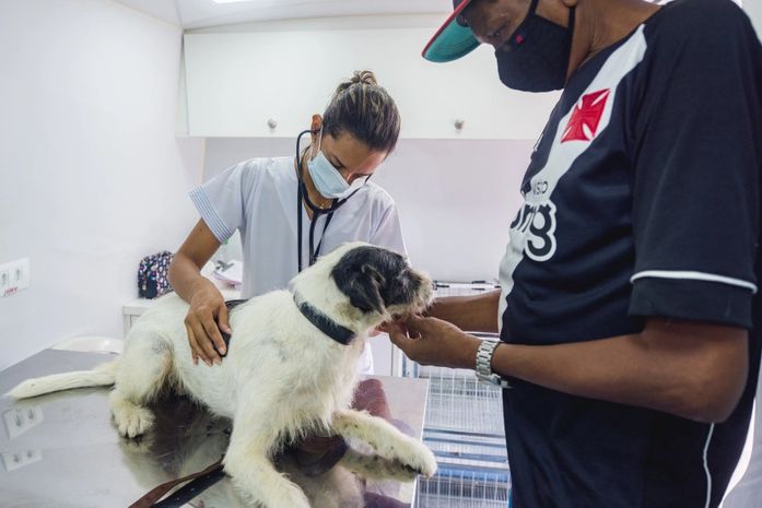Política de castração de cães e gatos de Maceió é premiada em evento internacional