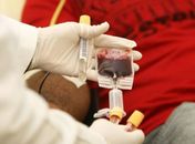 Paciente internado em estado grave na UE, precisa de doação de sangue