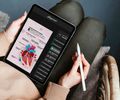 Mapas mentais, podcasts e imagens 3D do corpo humano: Afya oferece plataforma gratuita de conteúdo para estudantes de medicina