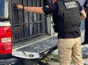 Jovem que matou e escondeu corpo de idoso no interior de AL é preso em município de SP 