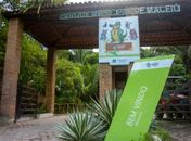 Parques de Maceió são alternativas para relaxamento e prática de atividades físicas