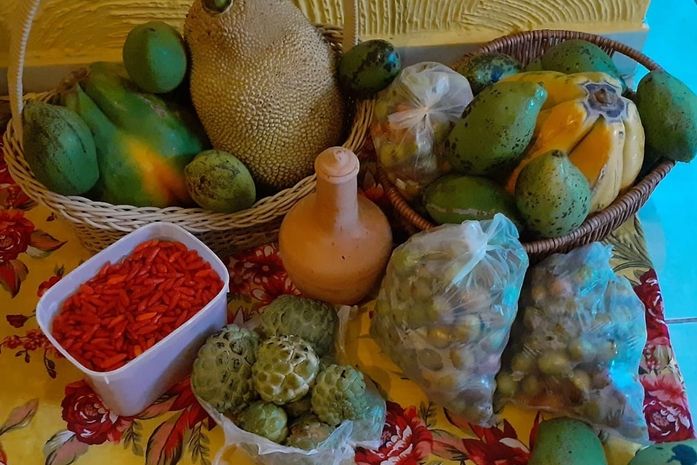 Margarete Geraldo presenteou essa ativista, com produtos da agricultura familiar,do Quilombo. Chá do Saco Sítio Novo. Obrigada, querida!