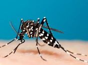 Boletim Epidemiológico traz menor gravidade em casos de dengue