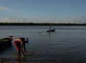 Pesquisadora analisa possível recuperação da Lagoa Mundaú: "contaminação, despejo de esgoto, retirada dos mangues"