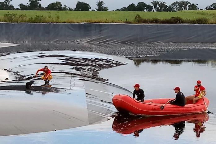 Equipe do Salvamento Aquático do órgão retirou o animal de dentro do tanque.