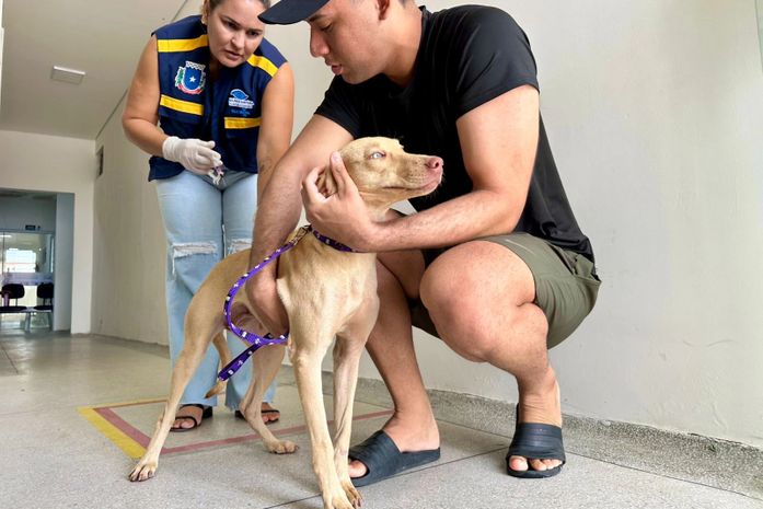 Girau do Ponciano supera meta e vacina mais de 90% dos animais domésticos