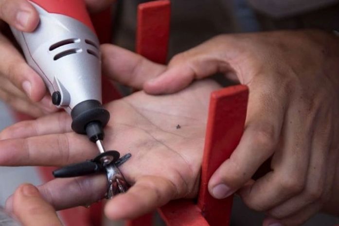 Foram registrados 81 casos em Alagoas somente neste ano