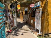 Praia do Patacho recebe Verão Verde Day, unindo preservação ambiental, cultura e comunidade

