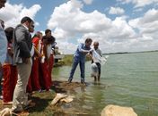 Yale participa de peixamento no Lago Perucaba