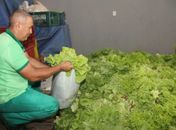 Prefeitura de Arapiraca abre chamadas públicas para agricultores familiares e entidades