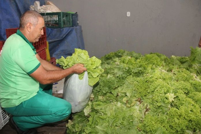Prefeitura de Arapiraca abre chamadas públicas para agricultores familiares e entidades