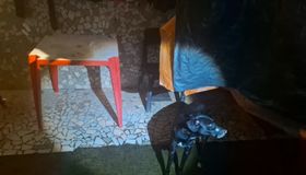 PM resgata cachorro com focinho amarrado com fita isolante e prende tutor em flagrante
