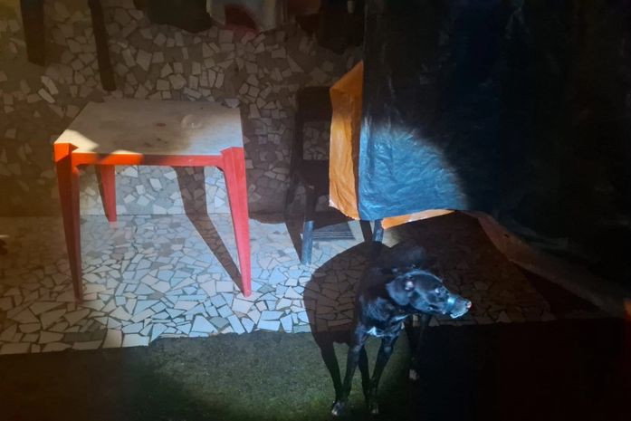 PM resgata cachorro com focinho amarrado com fita isolante e prende tutor em flagrante