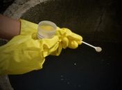 Casos de dengue 