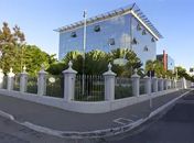 O Baobá FEDE,  ou o dia em que esta ativista, Arísia Barros, propôs o plantio da árvore sagrada, no Palácio República dos Palmares e foi barrada