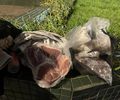 Funcionário é preso suspeito de furtar carnes do hotel que trabalhava em Maceió 