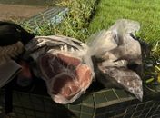Funcionário é preso suspeito de furtar carnes do hotel que trabalhava em Maceió 