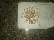 Droga encontrada com os menores em terreno baldio