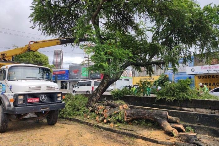 Cidadão pode solicitar o serviço de forma gratuita.